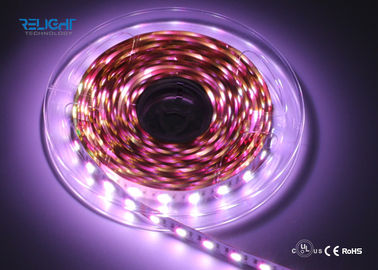 Εύκαμπτη λουρίδα των ΣΥΝΕΧΏΝ 12V 24V SMD5050 RGB διακοσμητικών οδηγήσεων λουρίδων ταινιών των οδηγήσεων Relight